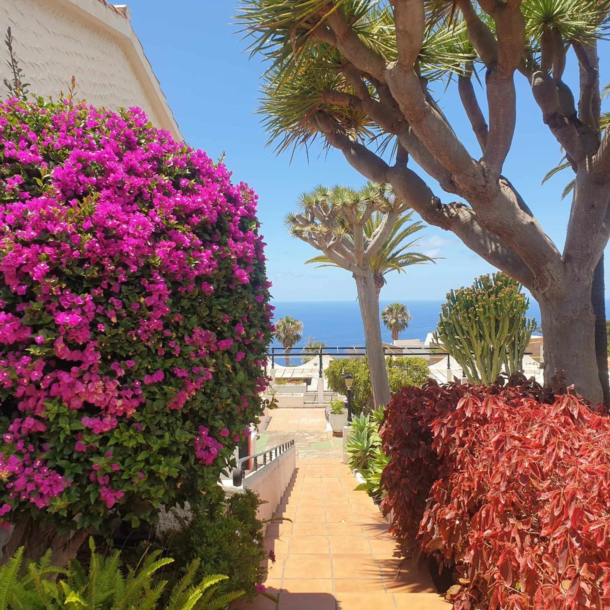 Madre Tierra Apartment Puerto de la Madera Екстериор снимка